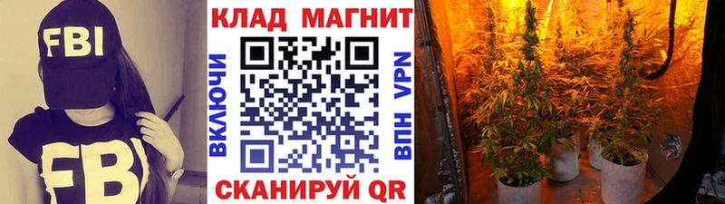 Где купить Чкаловск А ПВП  Псилоцибиновые грибы  Кодеин  КОКАИН  Меф мяу мяу  Амфетамин 