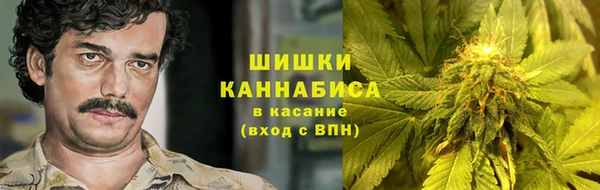 Альфа ПВП Дмитровск