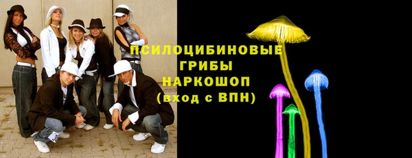 Альфа ПВП Дмитровск