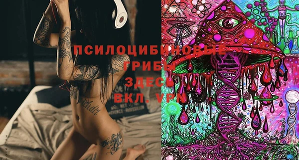 Альфа ПВП Дмитровск