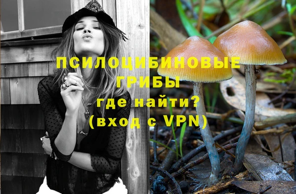 дурь Дмитров