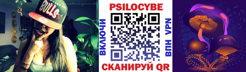 Галлюциногенные грибы Psilocybine cubensis  купить закладку  Чкаловск 